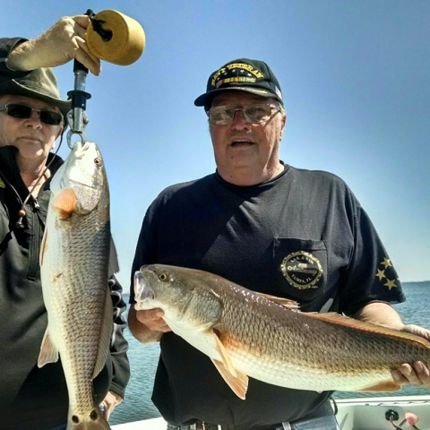 Person holding fish