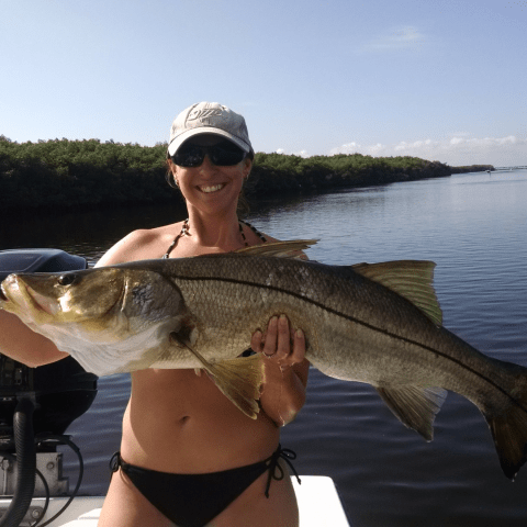 Snook