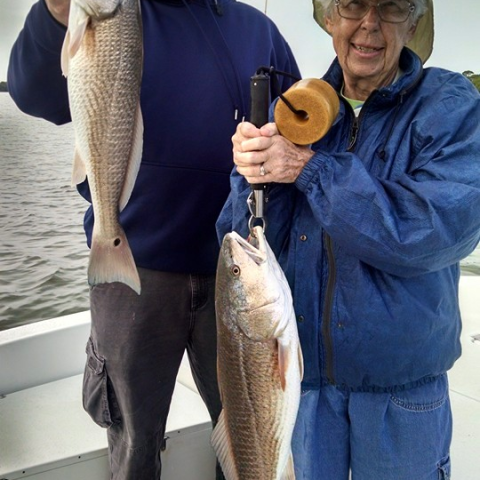 Person holding fish
