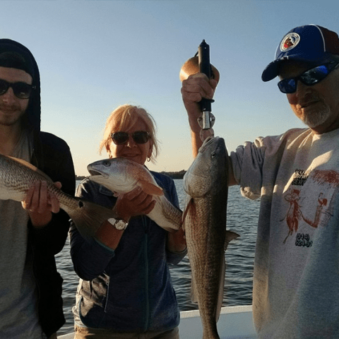 Person holding fish