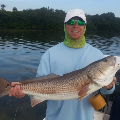 Redfish