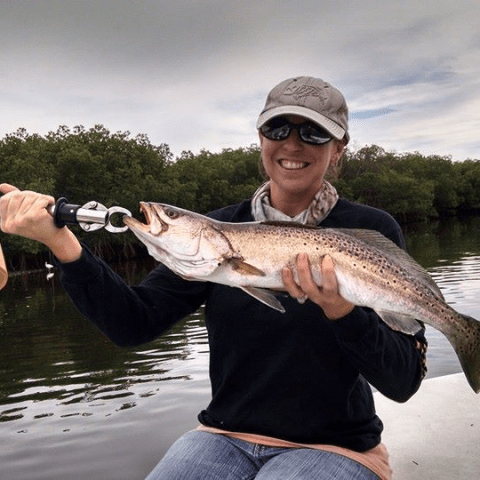 Rocky Creek trout