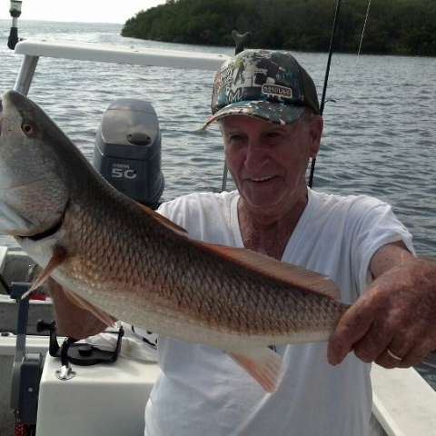 Person holding fish
