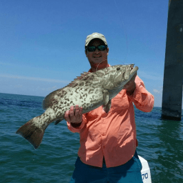 Gag grouper Sky Way Bridge