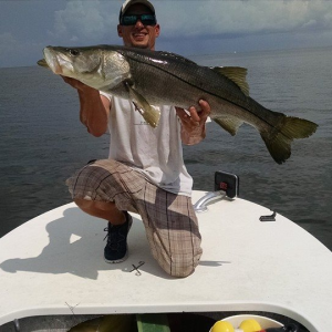 Tampa Bay Snook