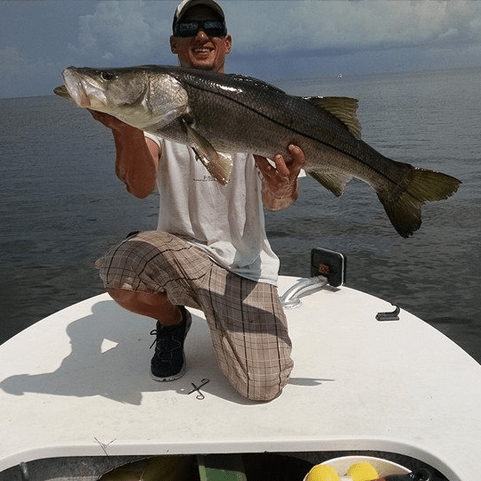 Tampa Bay Snook