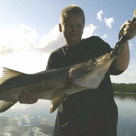 Snook Tampa Bay
