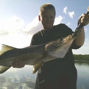 Snook Tampa Bay