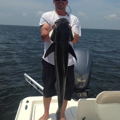 Man holding Cobia