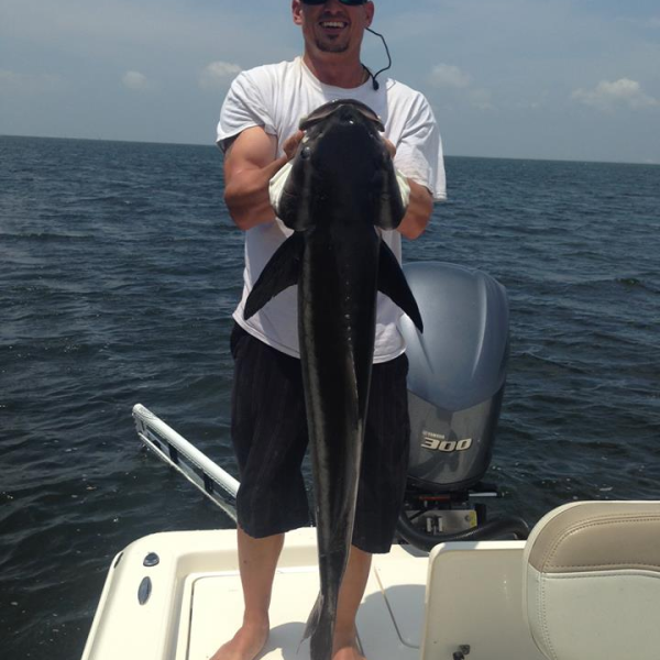 Man holding Cobia