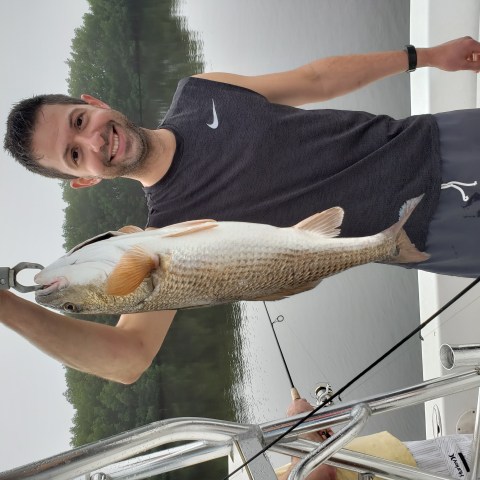 Person holding fish