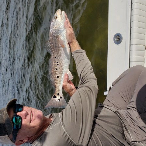 Person holding fish