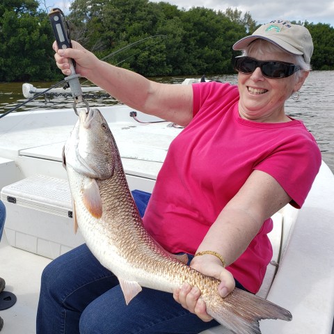 Person holding fish