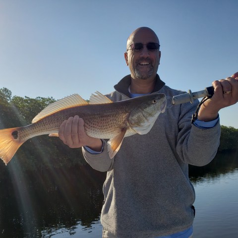 Person holding fish