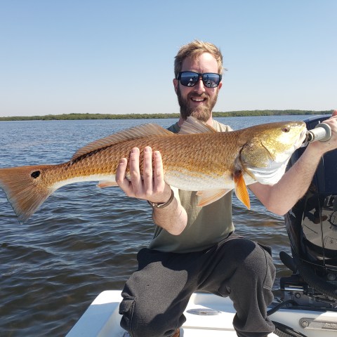 Person holding fish