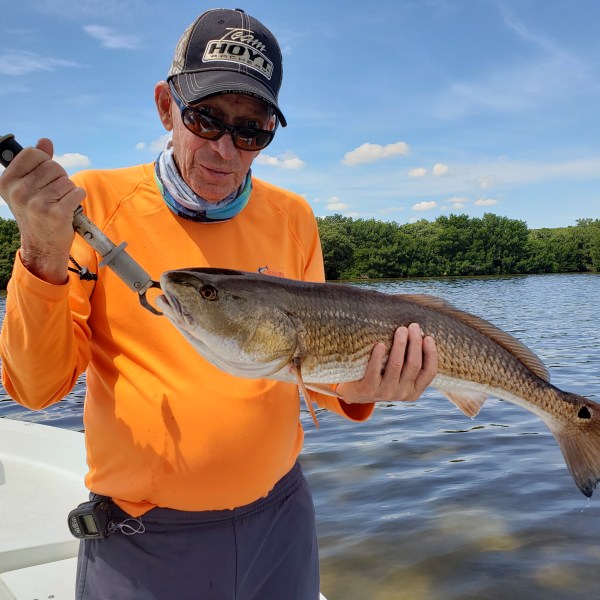 Flat Fishing Red fish Clearwater Florida