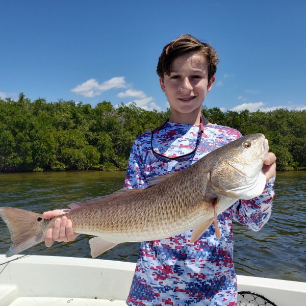 Tampa Bay Redfish