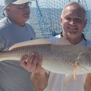 Tampa Bay Redfish