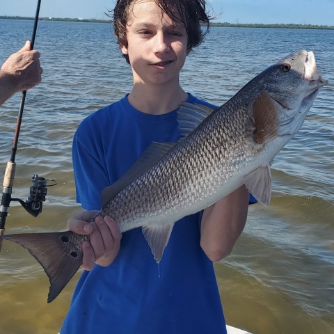 Clearwater Florida