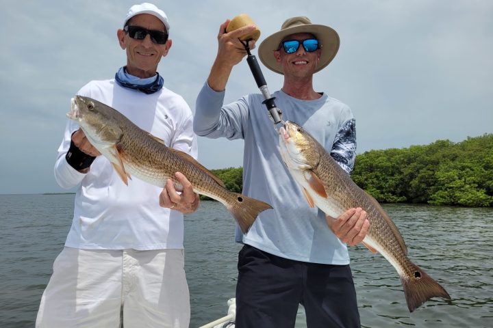 Fishing Tampa Bay and Clearwater Florida for Redfish