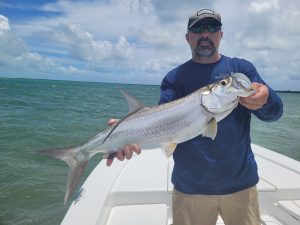 Juvenile Tarpon