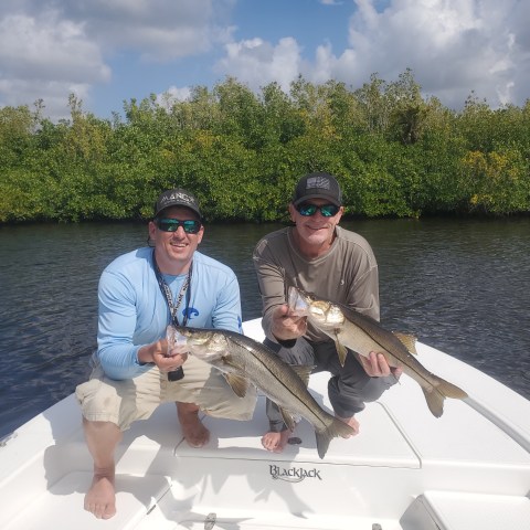 Creek snook