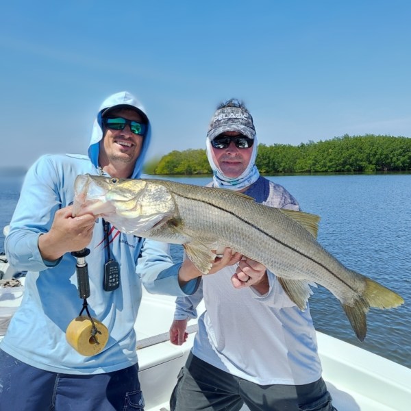 Tampa Bay Snook