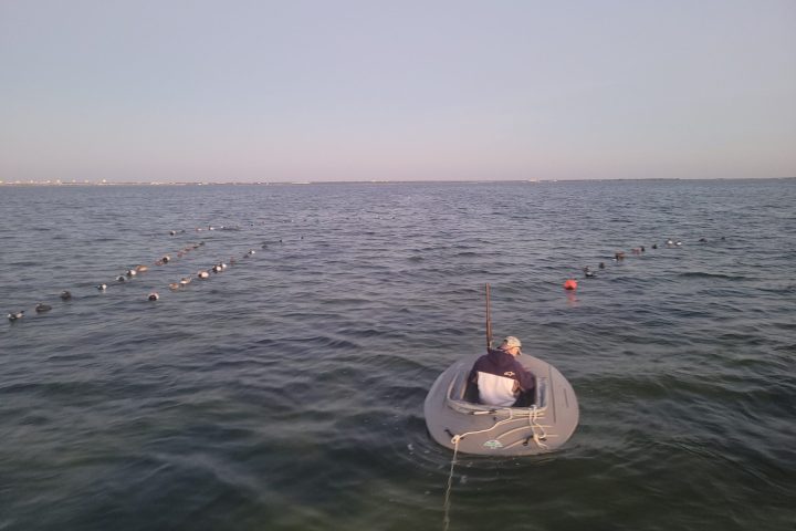 a man standing next to a body of water