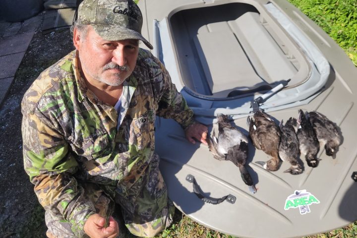 Clearwater Florida Duck hunting