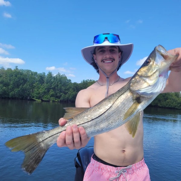 CREEK SNOOK