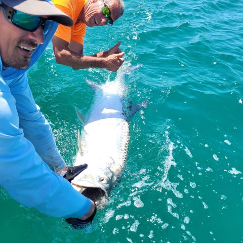 fish release
