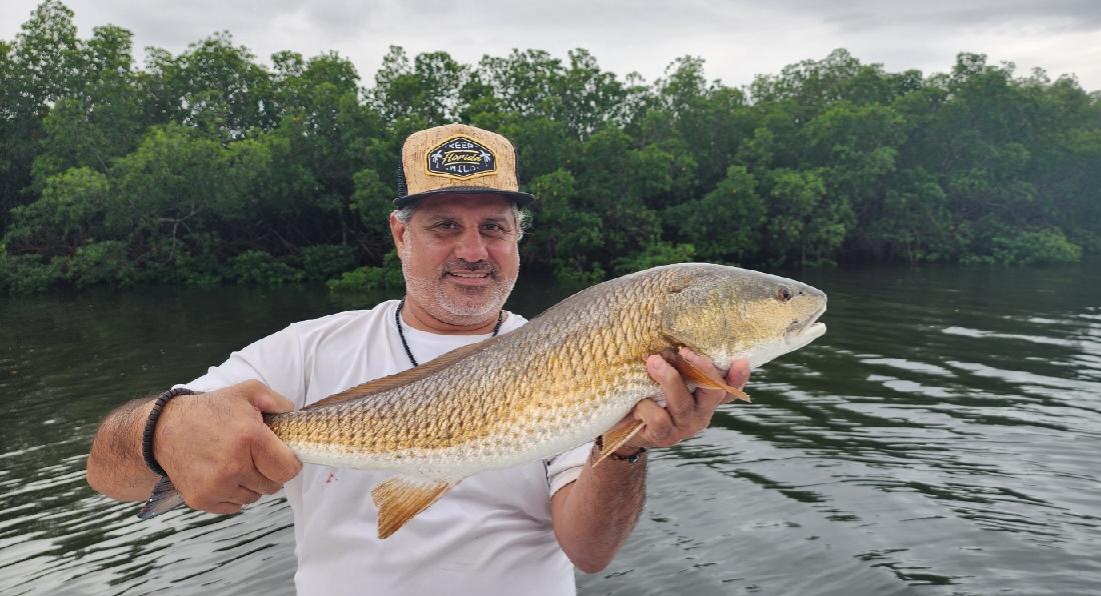 Red Fish Clearwater Florida