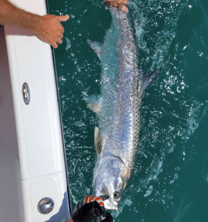 a man holding a fish in the water