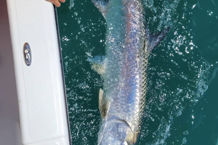 a man holding a fish in the water