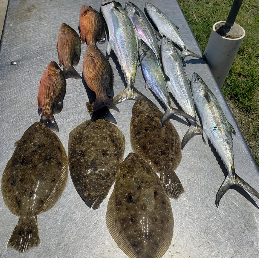 Snapper, Flounder, Spanish Mackerel
