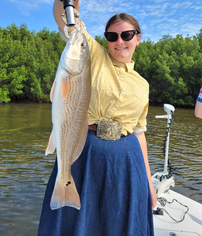 Red Fish in the back country Tampa Bay