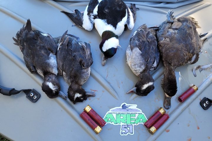 a piece of chocolate cake on a plate