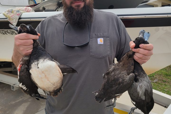 a person wearing a military uniform