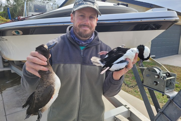 a man holding a fish