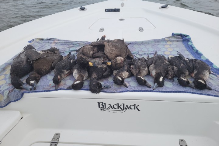 a group of people on a beach