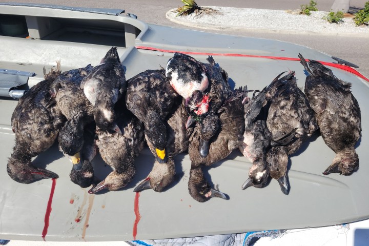 a group of people sitting at a beach