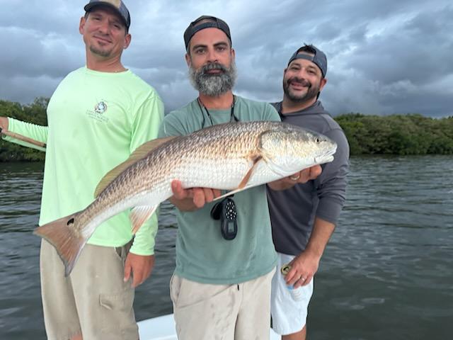 Catching Redfish on Tampa Bay