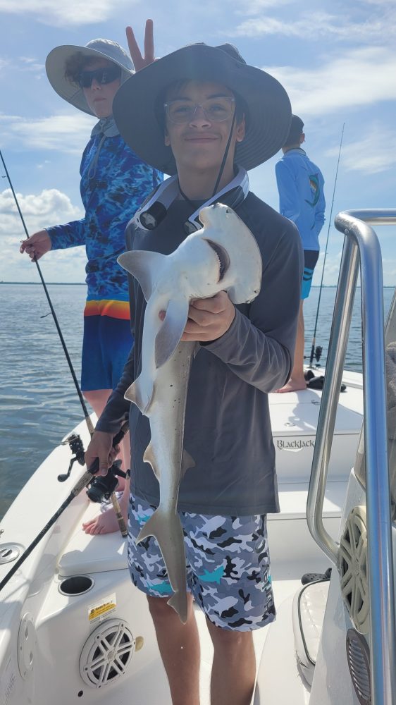 Shark Fishing Tampa Bay