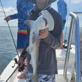Person on boat holding small shark, wearing hat and sunglasses, with others fishing in background.