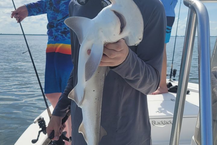 Person on boat holding small shark, wearing hat and sunglasses, with others fishing in background.