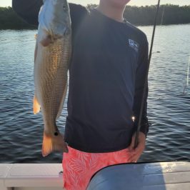 Person holding a fish on a boat with sunlight behind them.