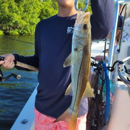 Person on a boat holding a fish with a fishing rod, wearing a blue shirt and pink shorts.