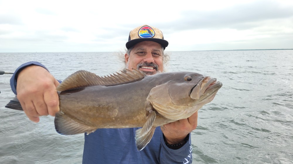 Tampa Bay Gag Grouper