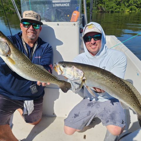 Trout fishing Clearwater