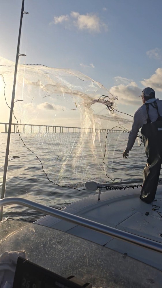 Person on a boat casting a net into the water at sunrise with a bridge in the background.